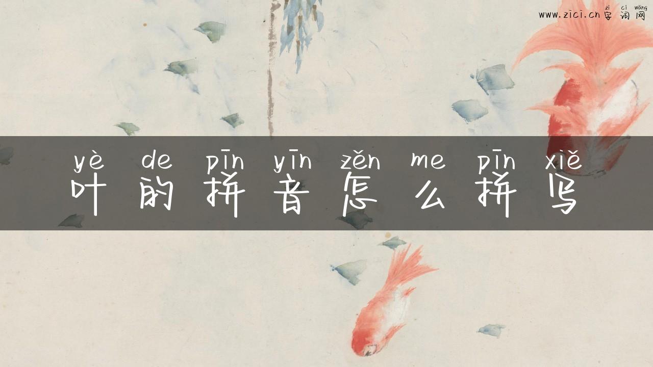叶的拼音怎么拼写