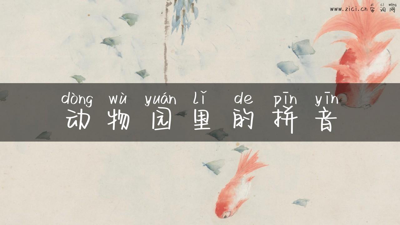 动物园里的拼音