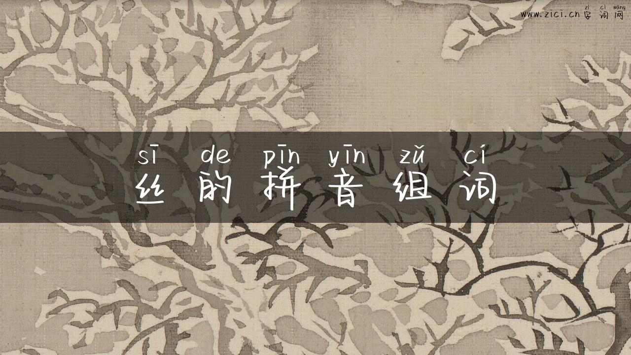 丝的拼音组词