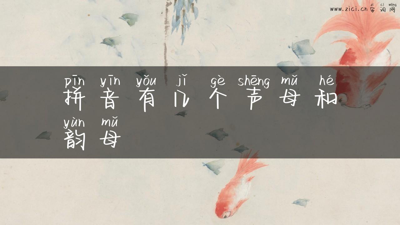 拼音有几个声母和韵母