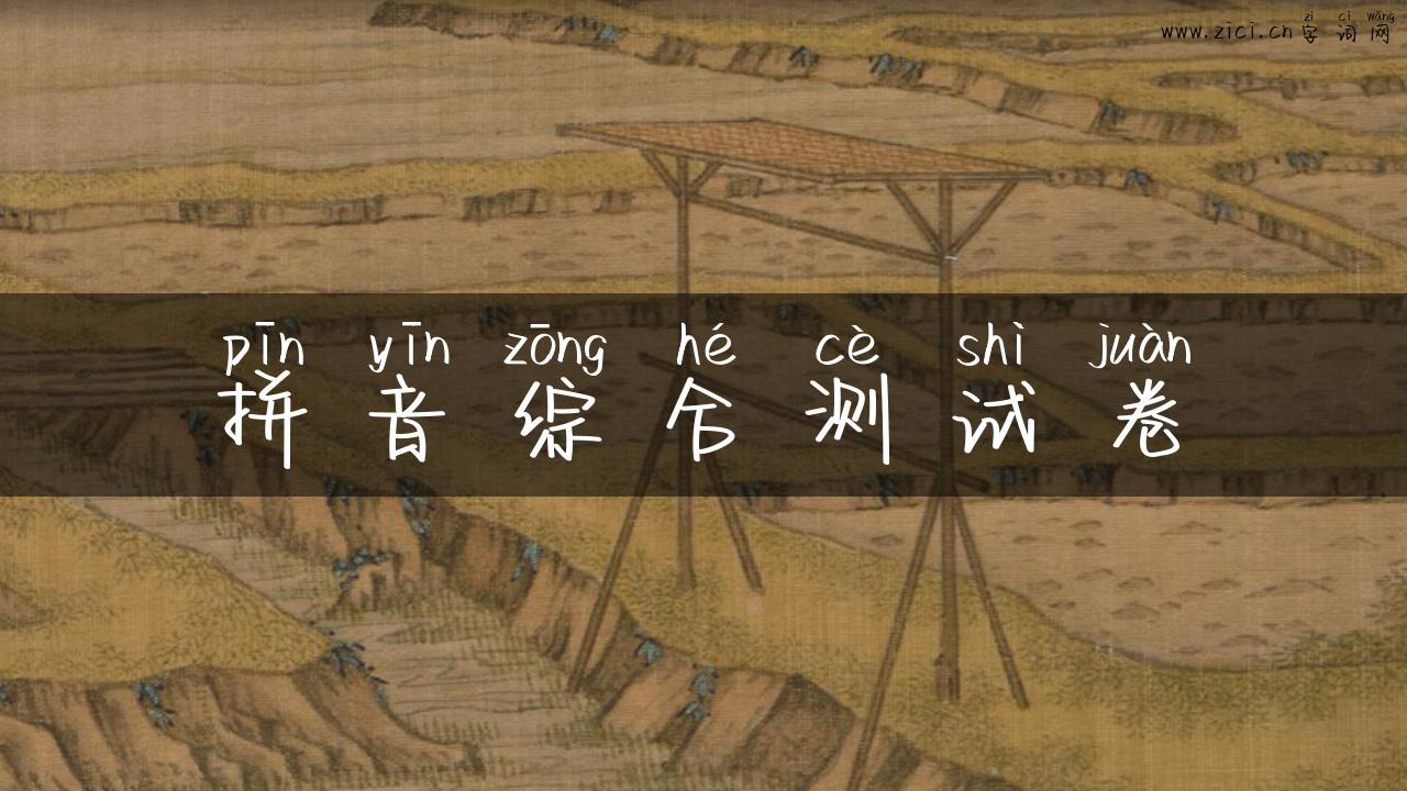 拼音综合测试卷
