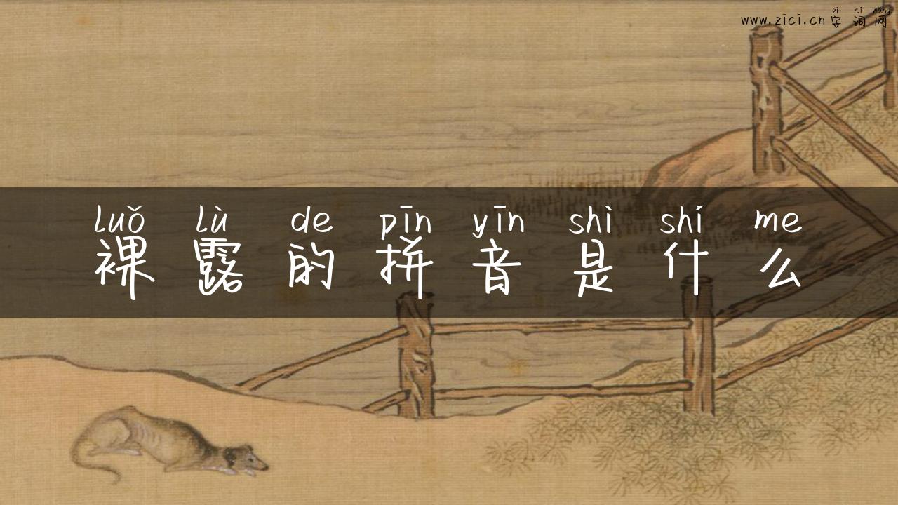 裸露的拼音是什么