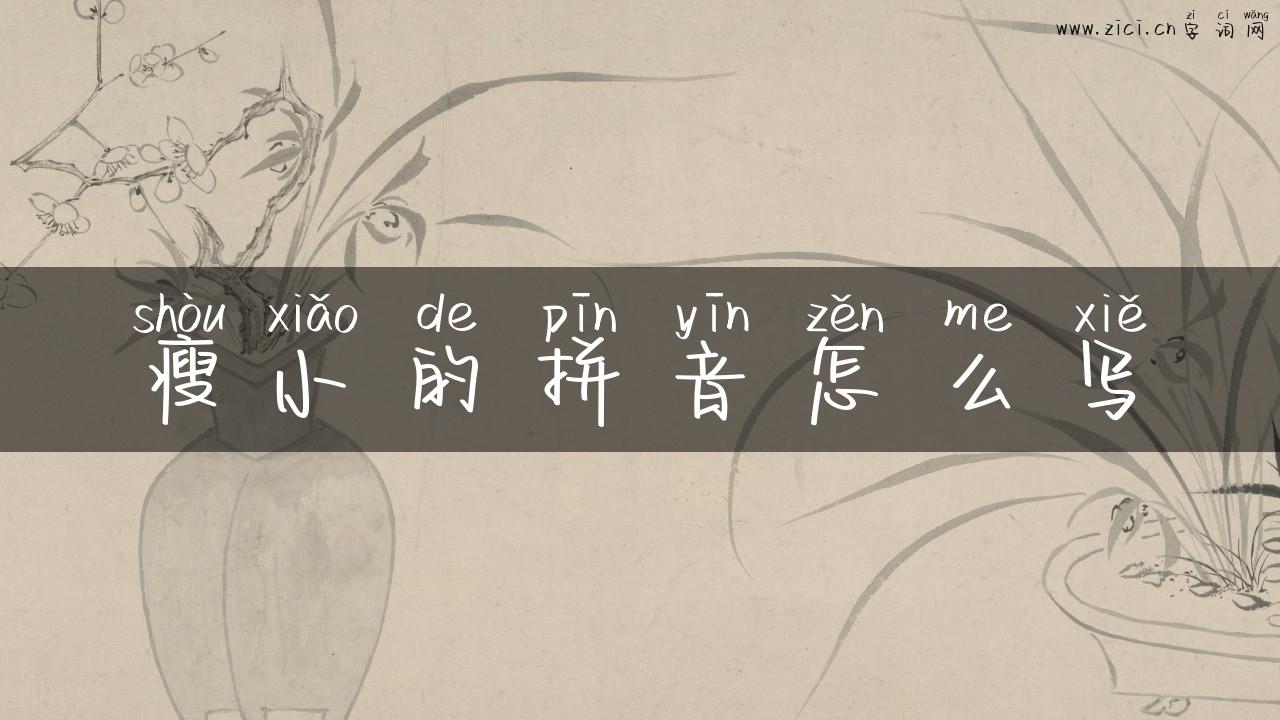 瘦小的拼音怎么写