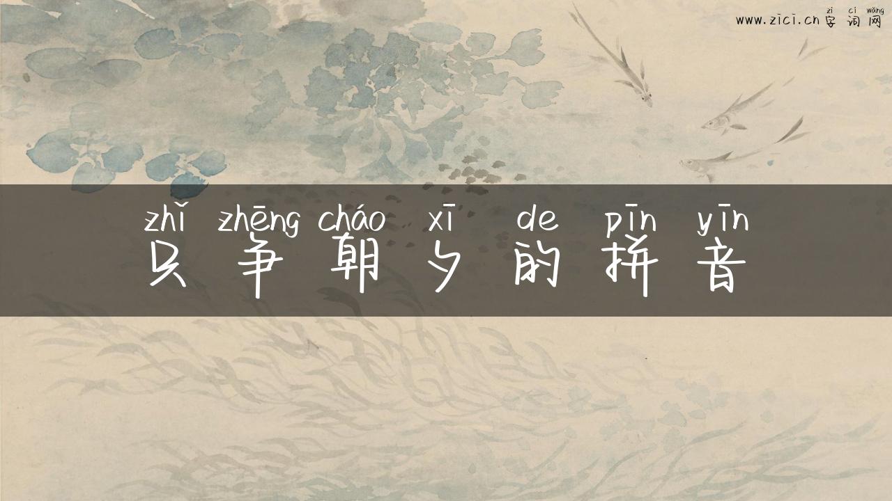 只争朝夕的拼音
