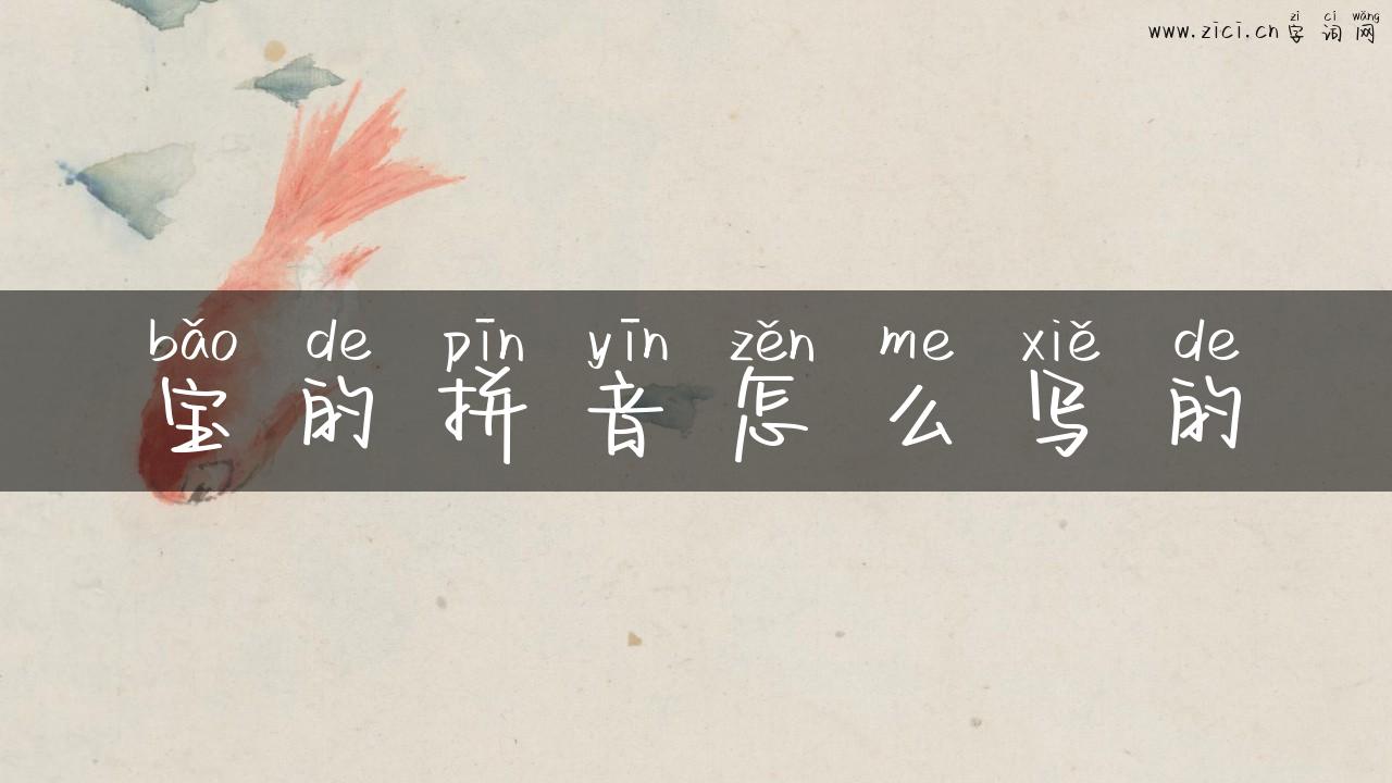 宝的拼音怎么写的