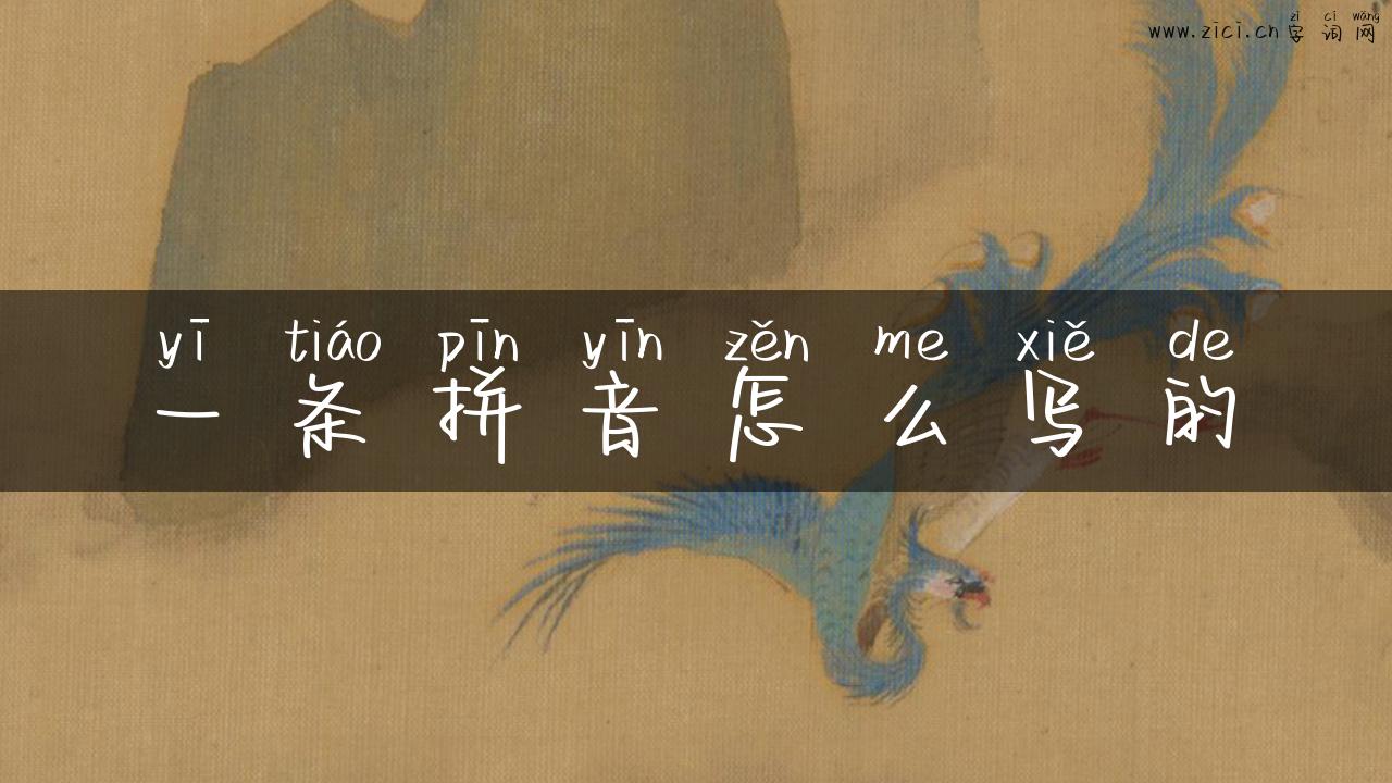 一条拼音怎么写的