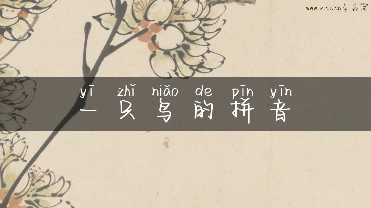 一只鸟的拼音