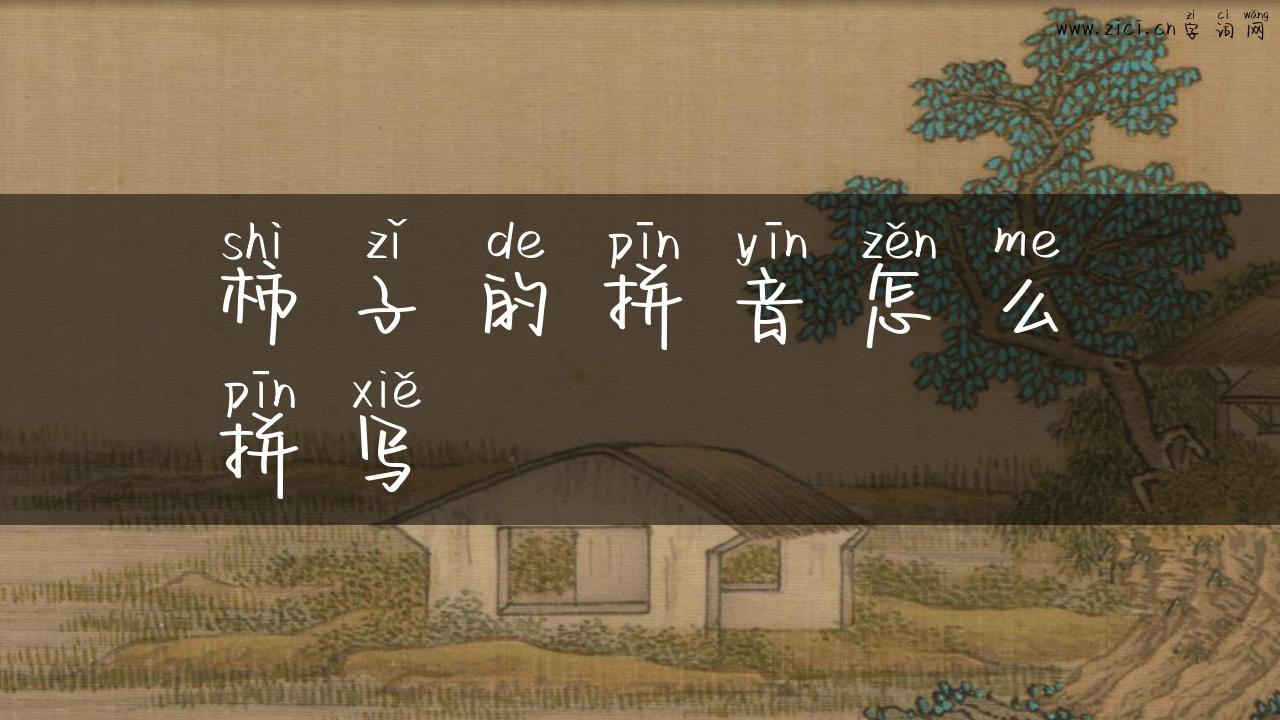 柿子的拼音怎么拼写