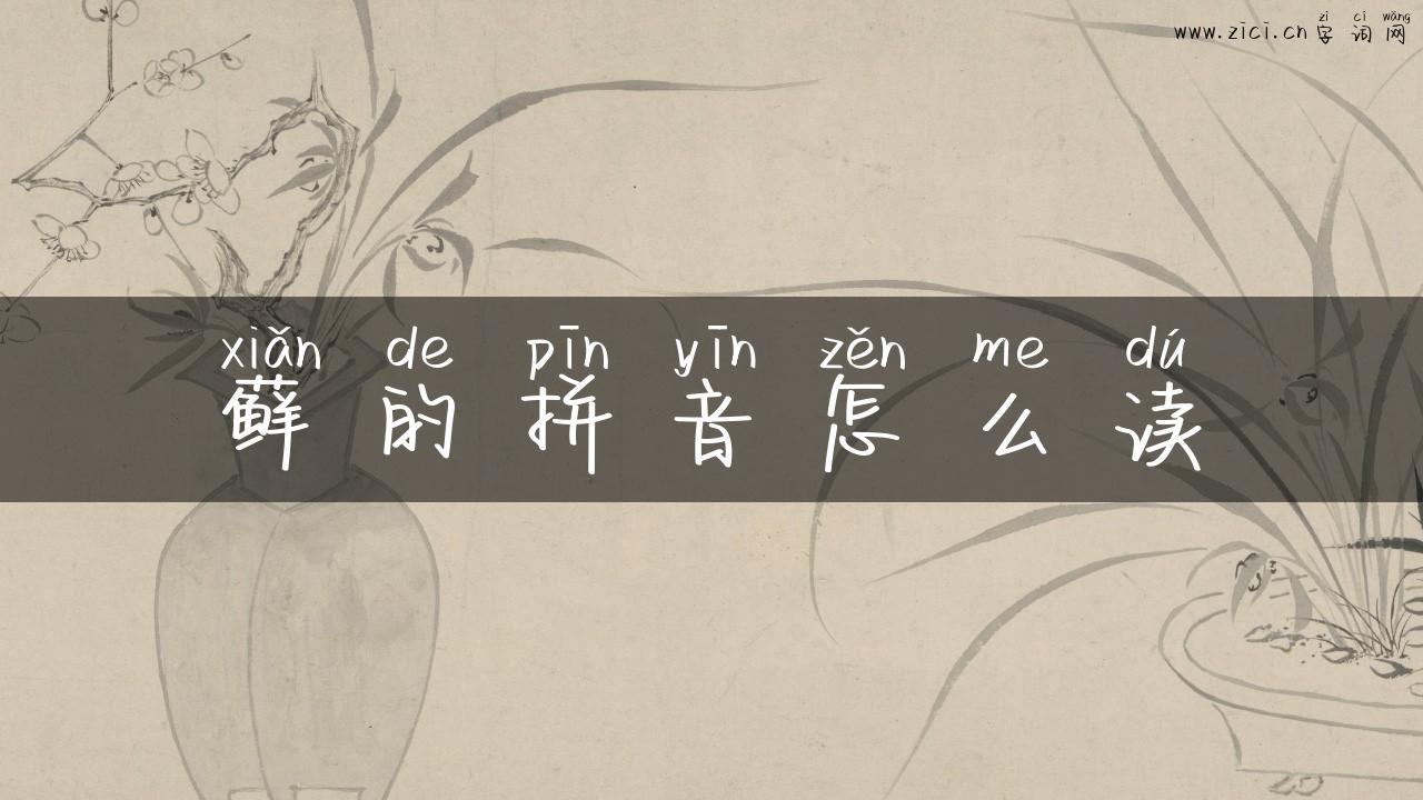 藓的拼音怎么读