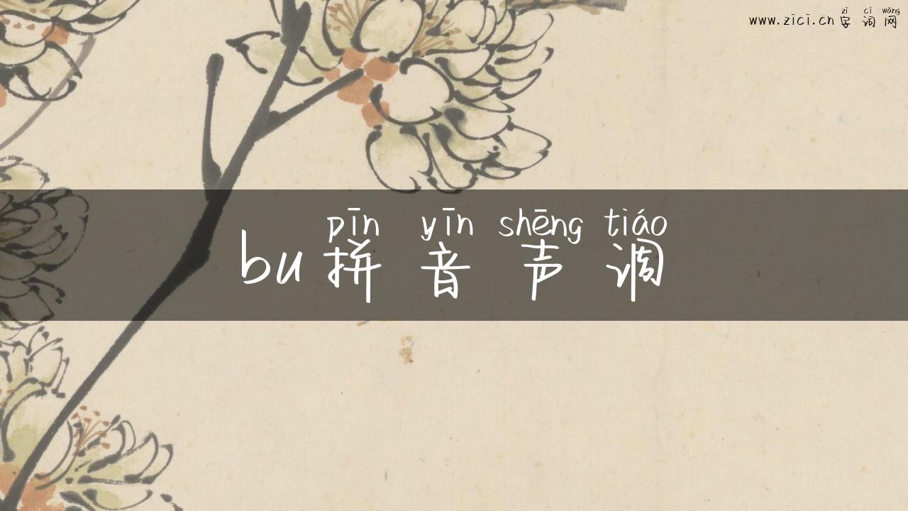 bu拼音声调