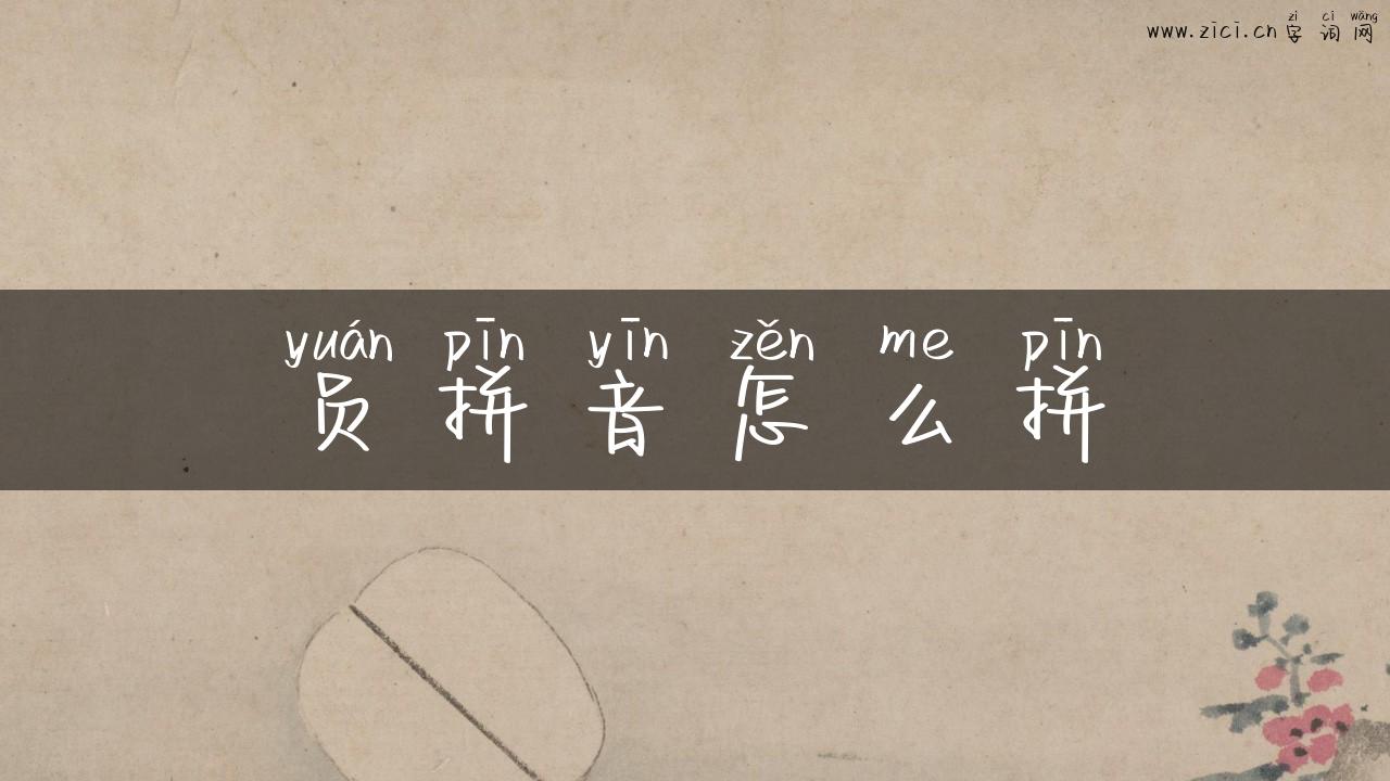 员拼音怎么拼