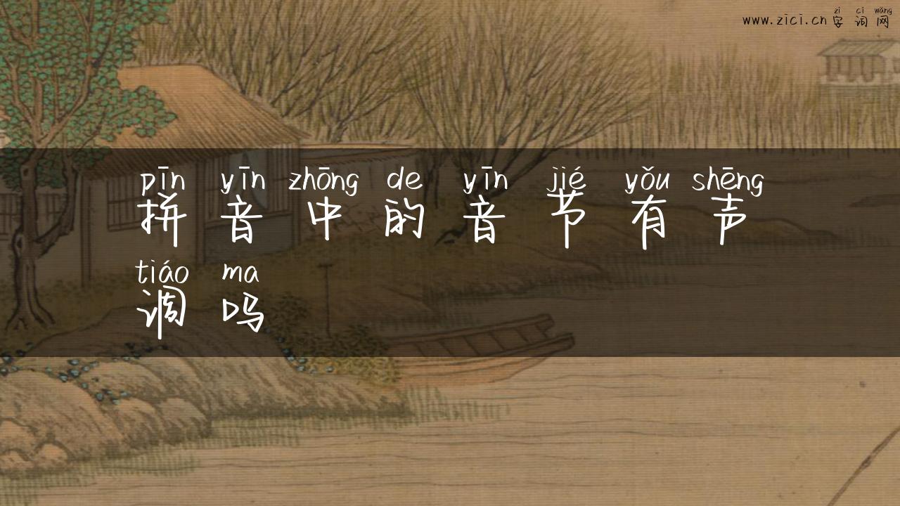 拼音中的音节有声调吗