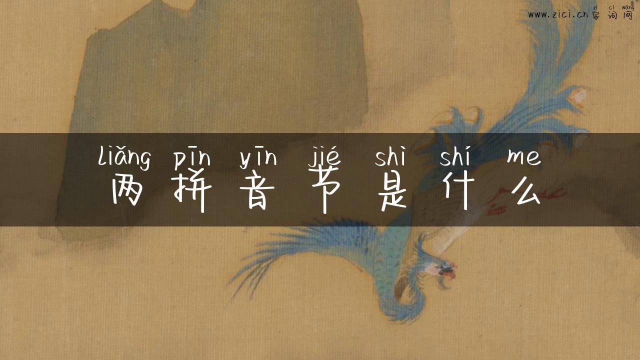 两拼音节是什么