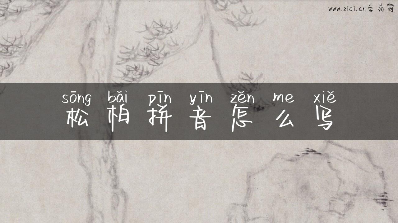 松柏拼音怎么写