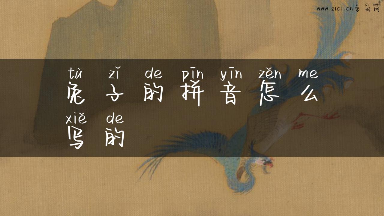 兔子的拼音怎么写的
