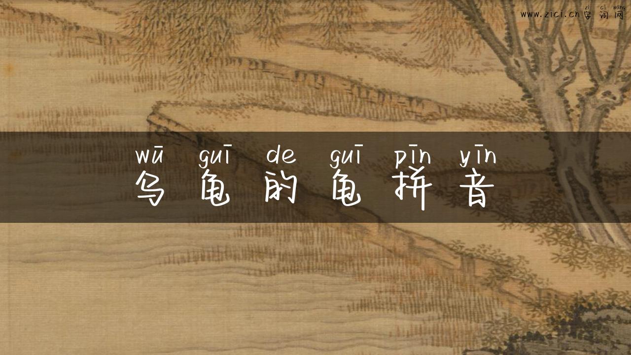 乌龟的龟拼音