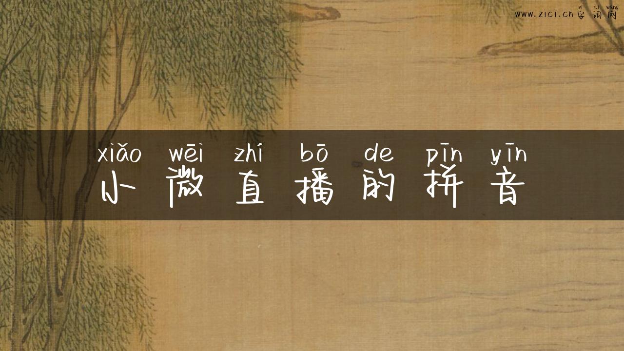 小微直播的拼音
