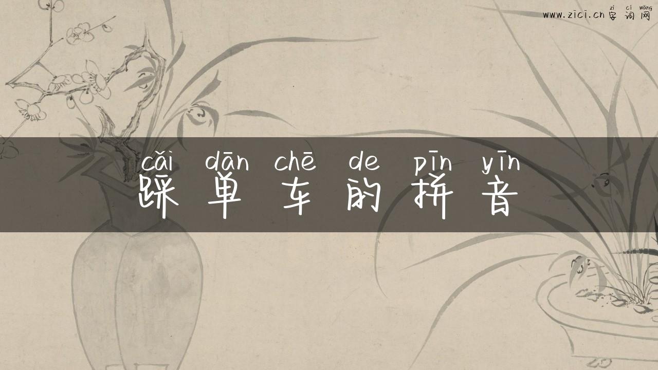 踩单车的拼音