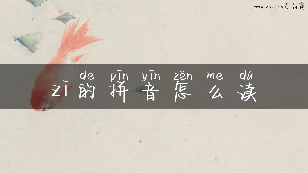 zi的拼音怎么读