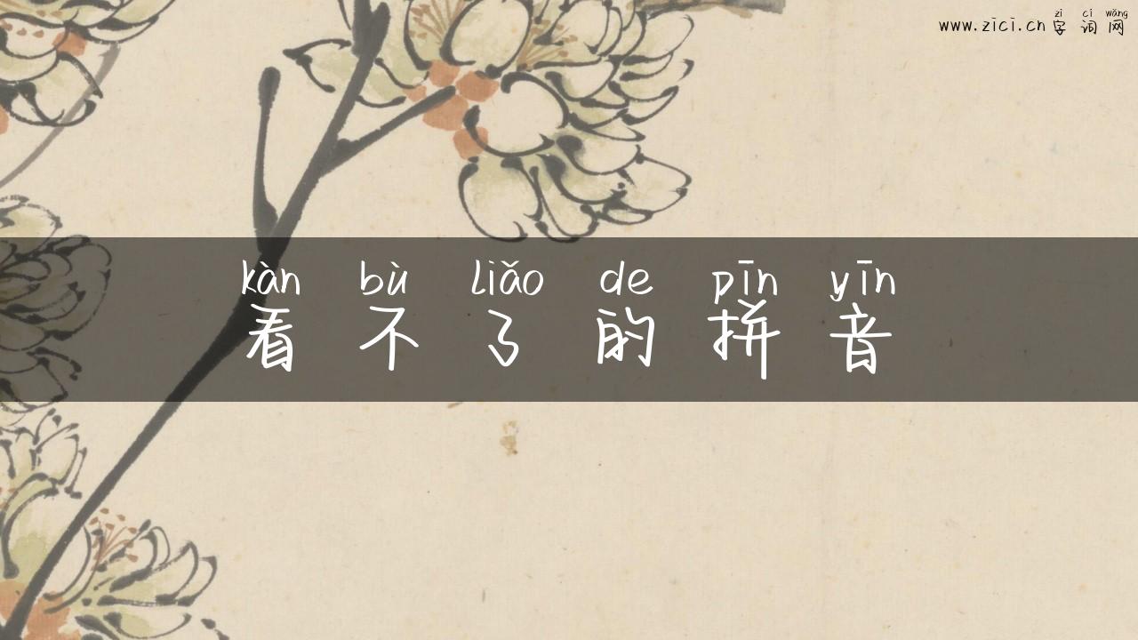 看不了的拼音
