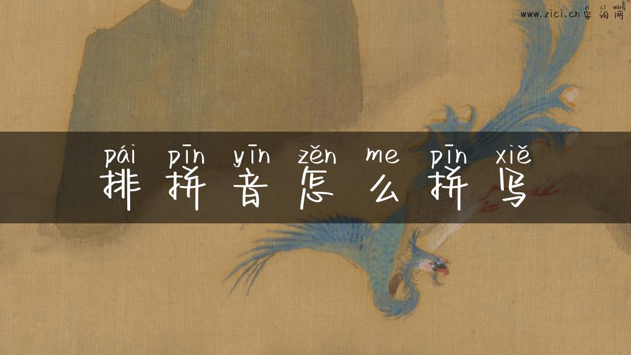 排拼音怎么拼写