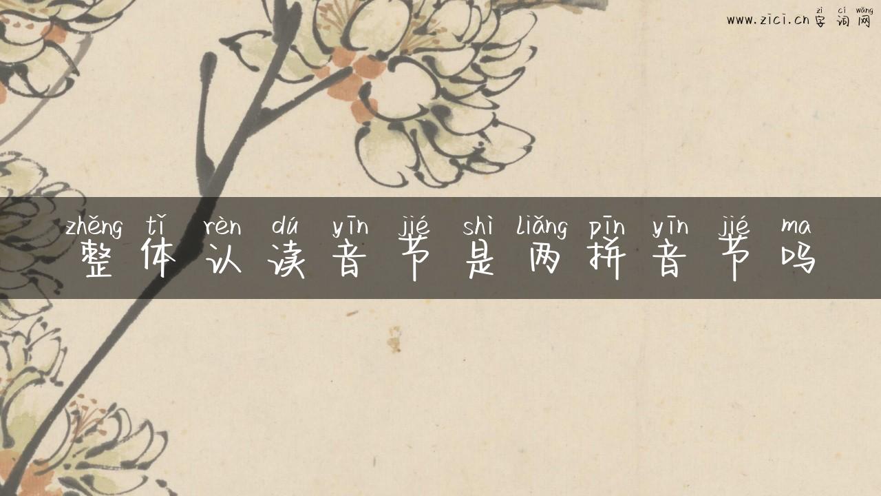 整体认读音节是两拼音节吗