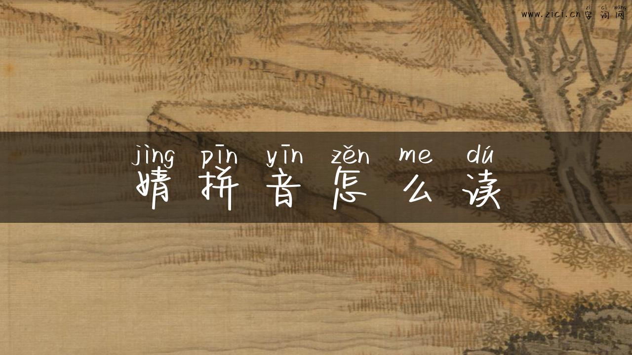 婧拼音怎么读