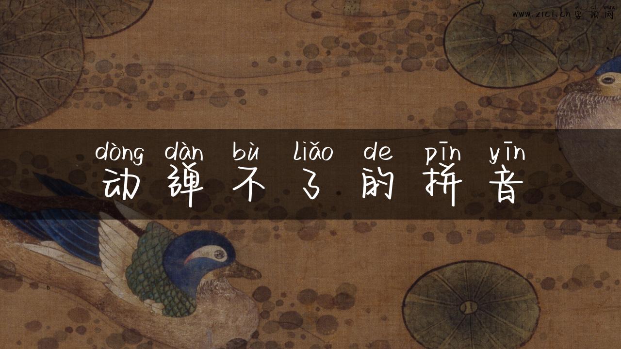 动弹不了的拼音