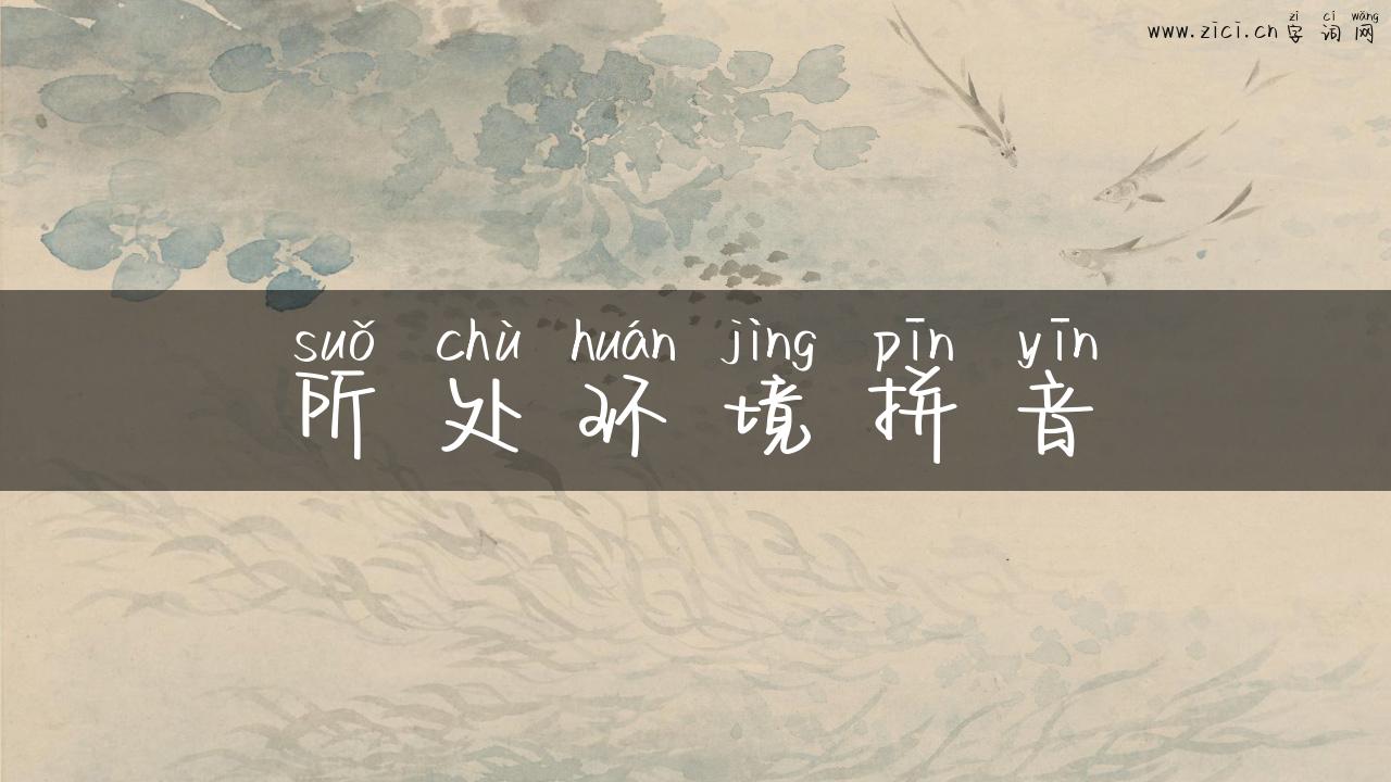 所处环境拼音