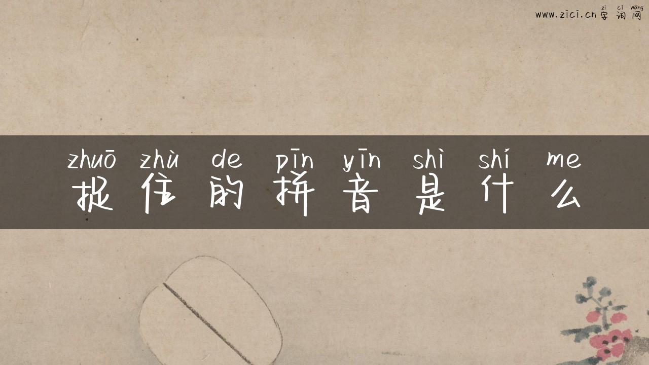 捉住的拼音是什么