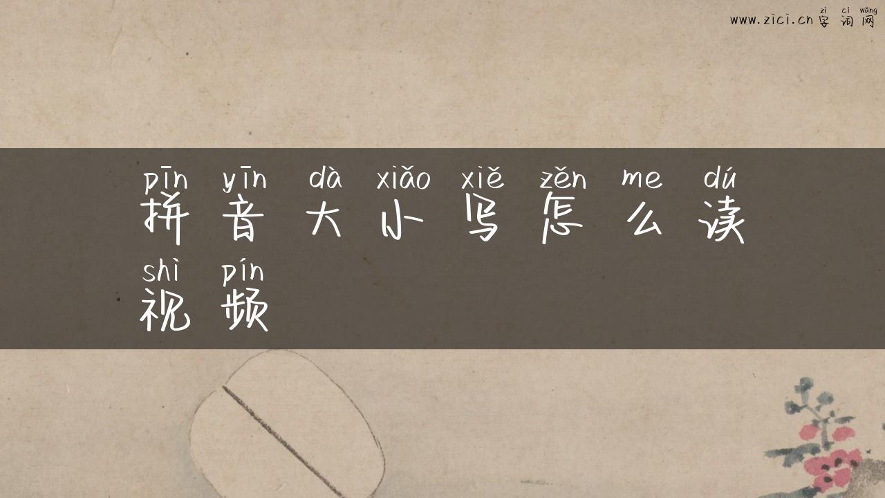 拼音大小写怎么读视频