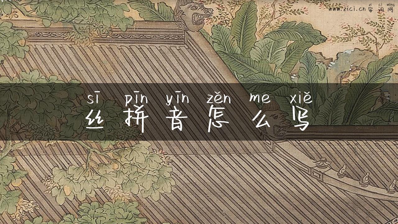 丝拼音怎么写