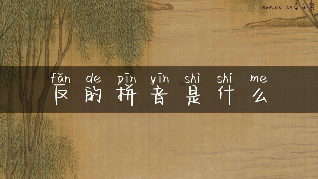 反的拼音是什么