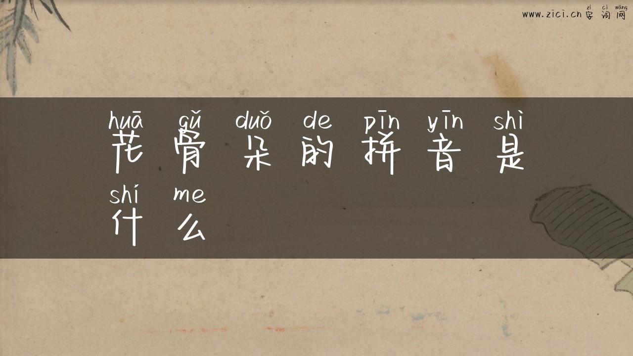 花骨朵的拼音是什么