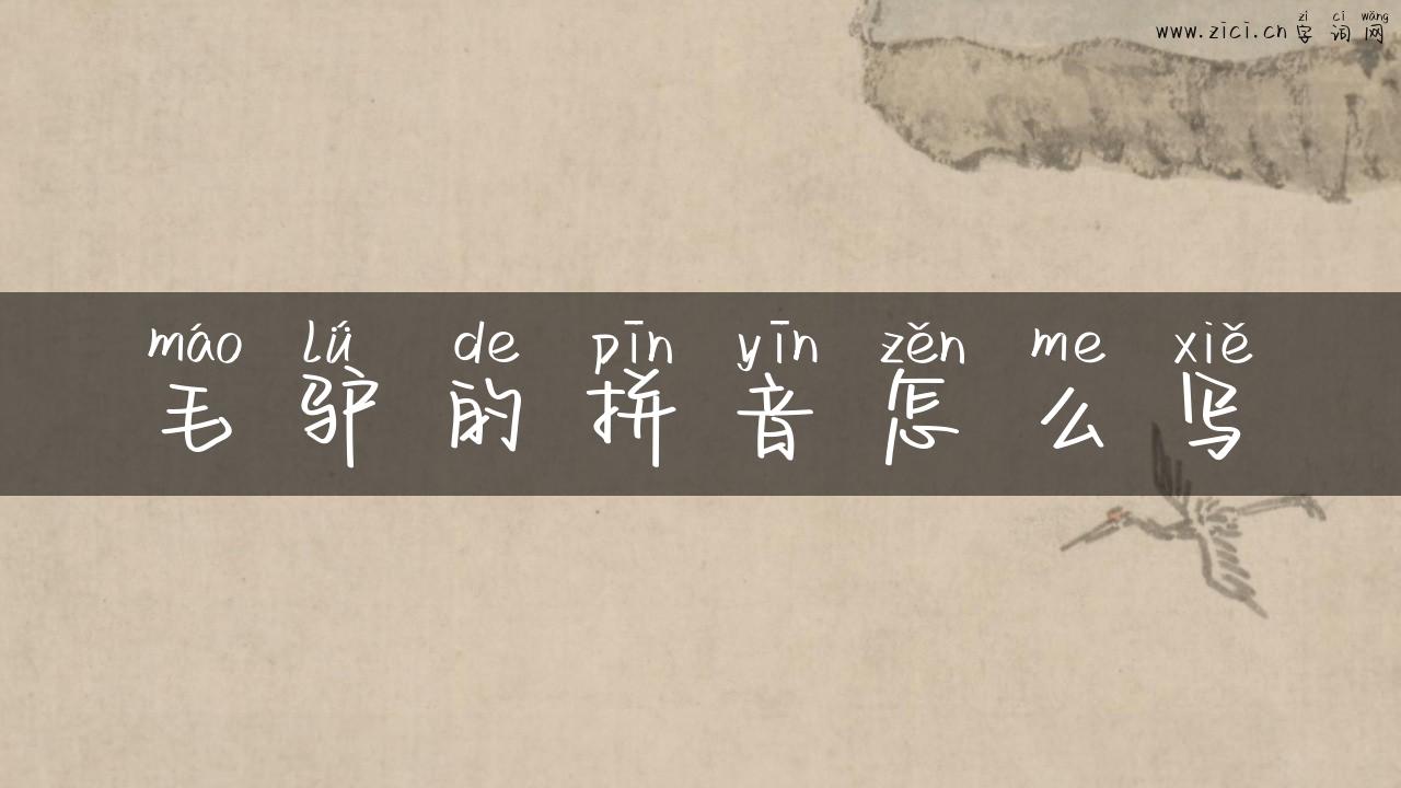 毛驴的拼音怎么写