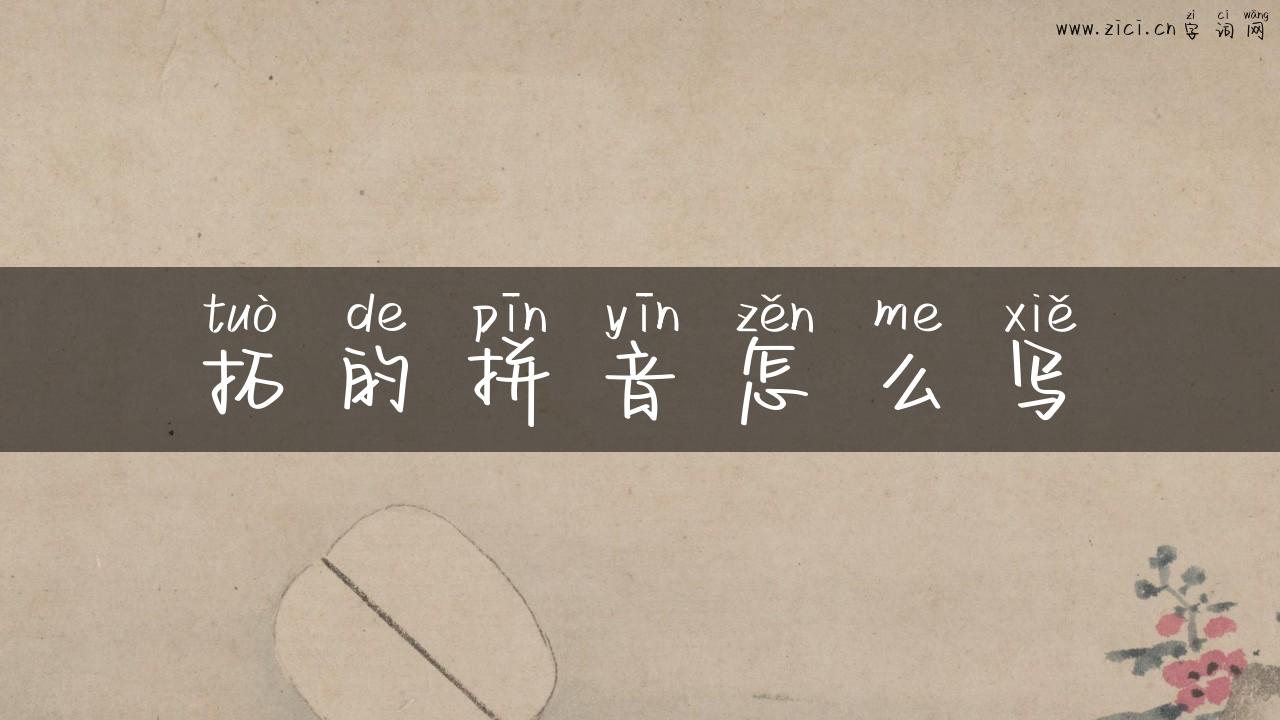 拓的拼音怎么写