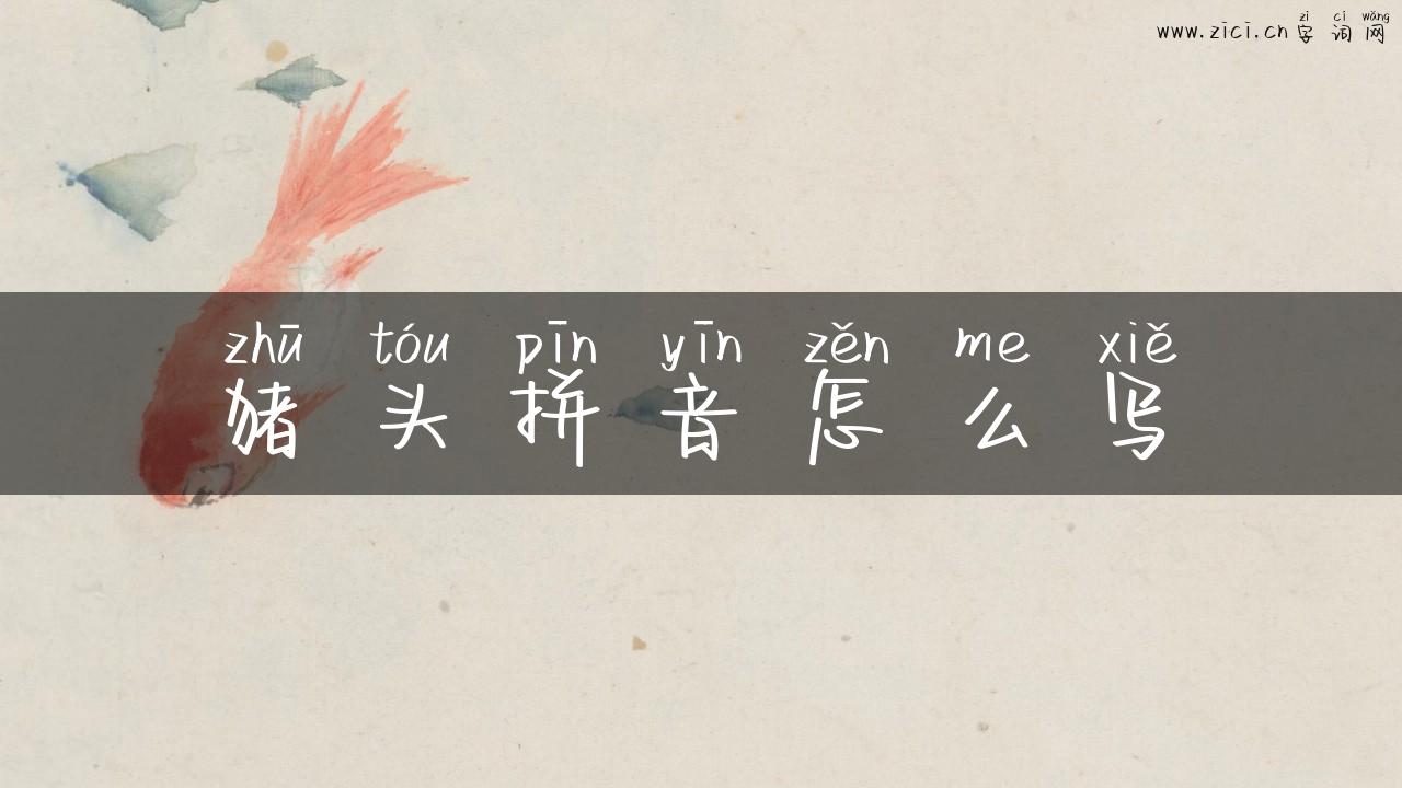 猪头拼音怎么写