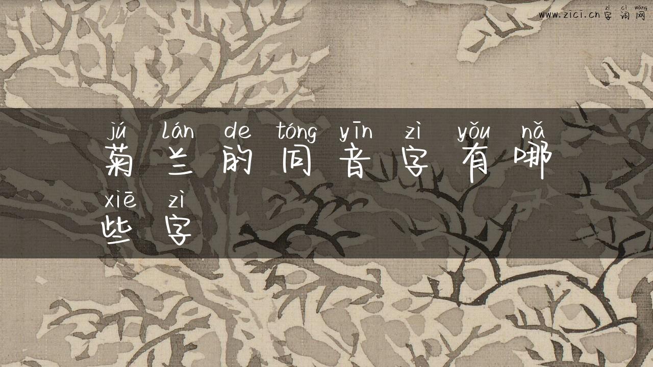 菊兰的同音字有哪些字