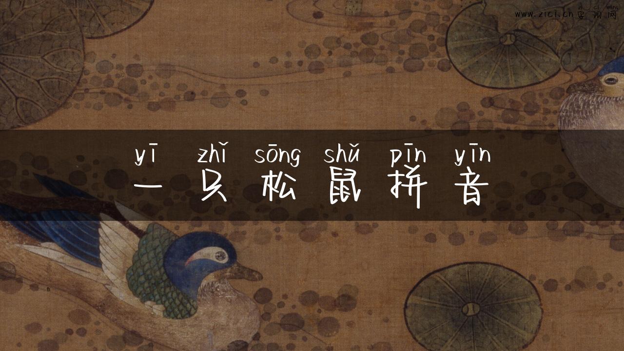 一只松鼠拼音