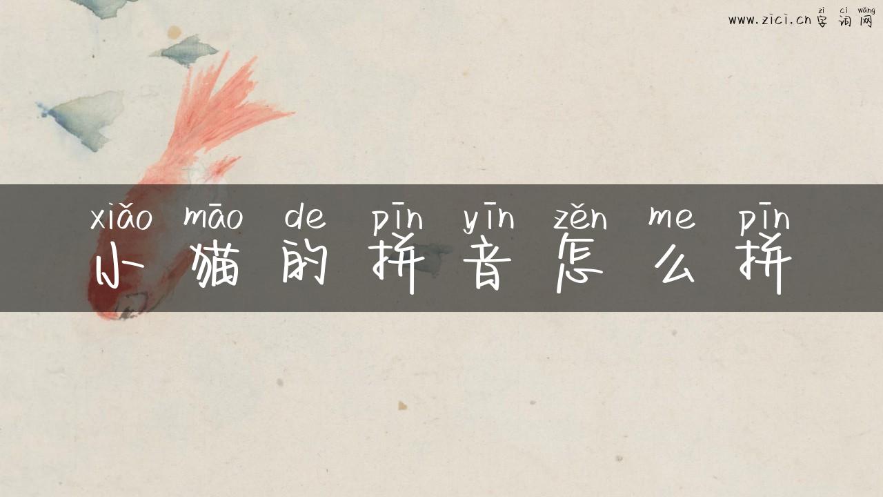 小猫的拼音怎么拼