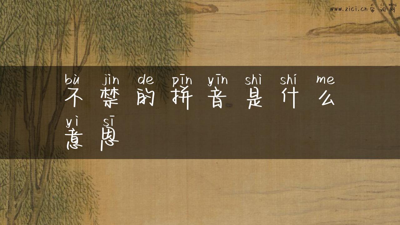 不禁的拼音是什么意思