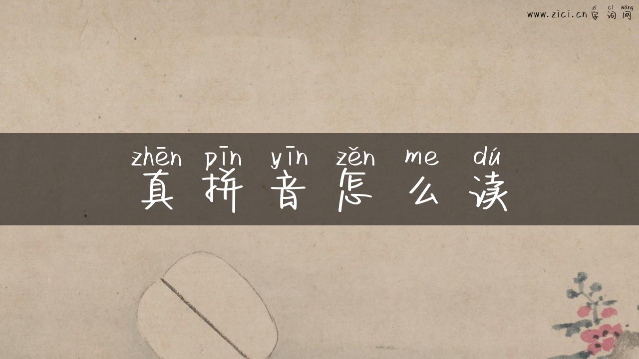 真拼音怎么读