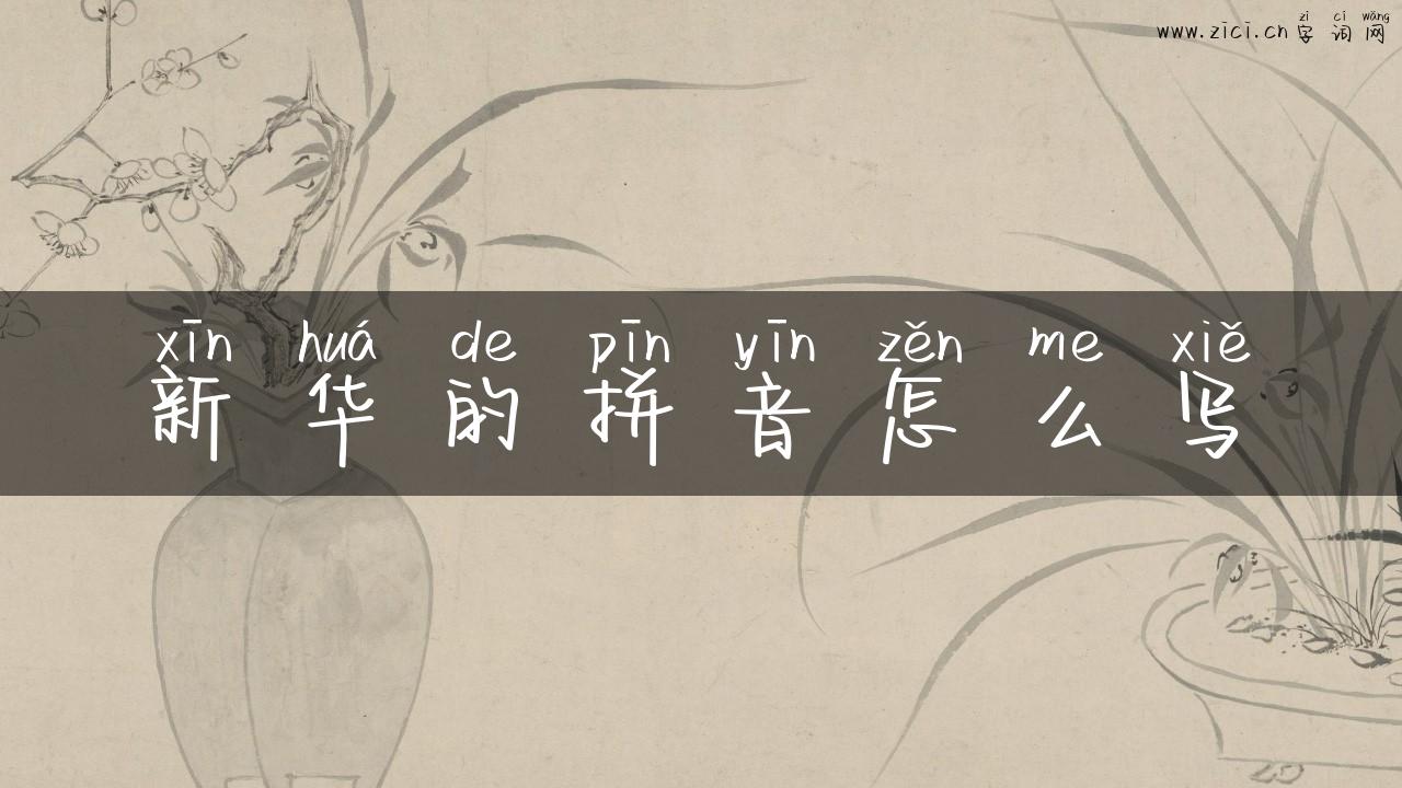 新华的拼音怎么写