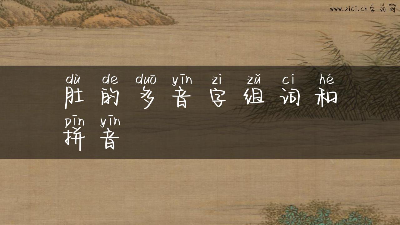 肚的多音字组词和拼音