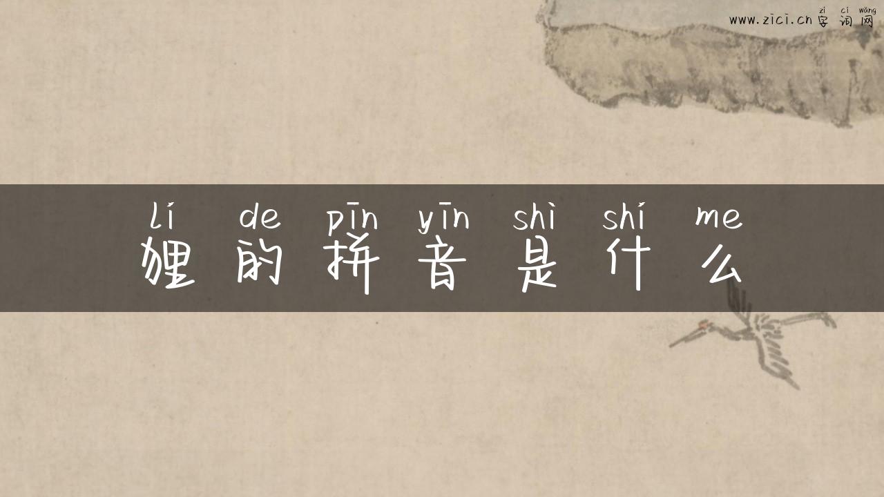 狸的拼音是什么