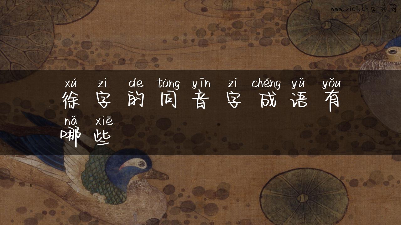 徐字的同音字成语有哪些