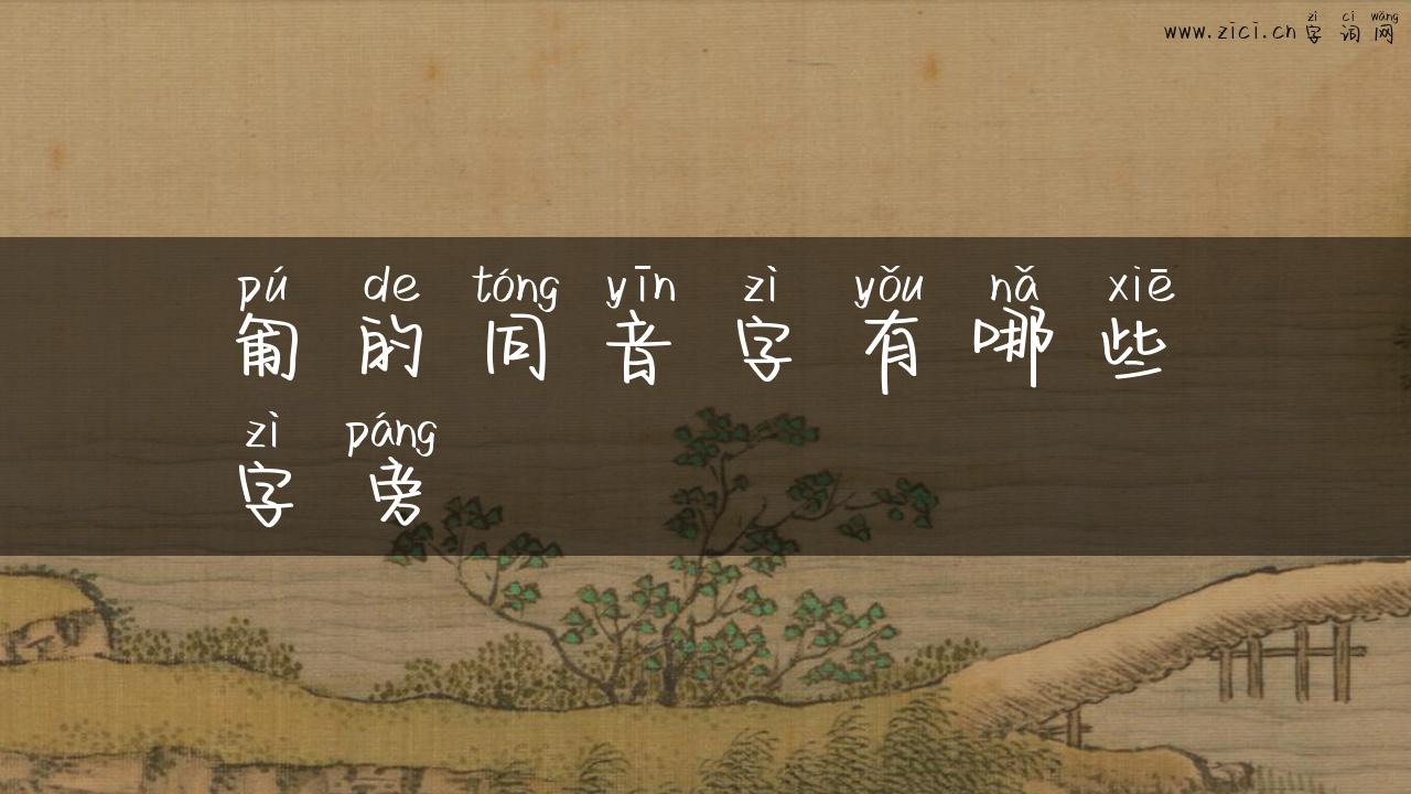 匍的同音字有哪些字旁
