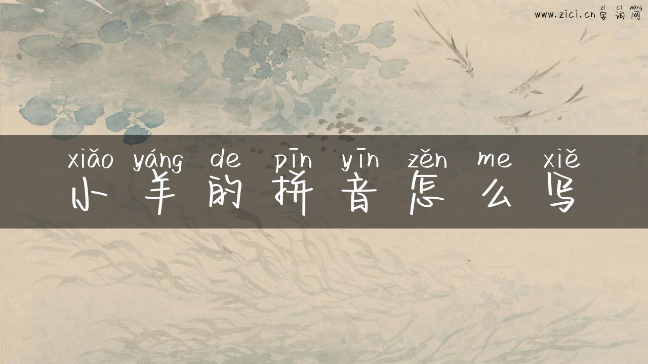 小羊的拼音怎么写
