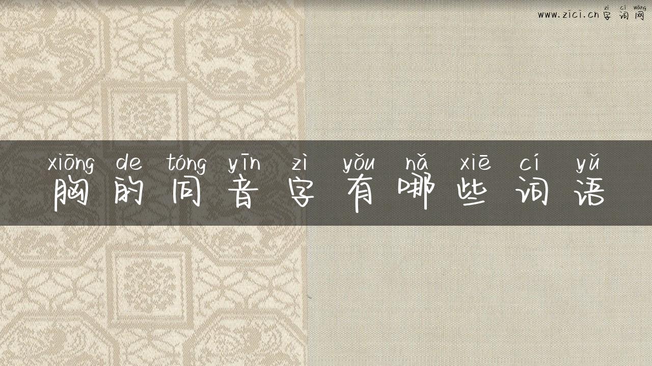 胸的同音字有哪些词语