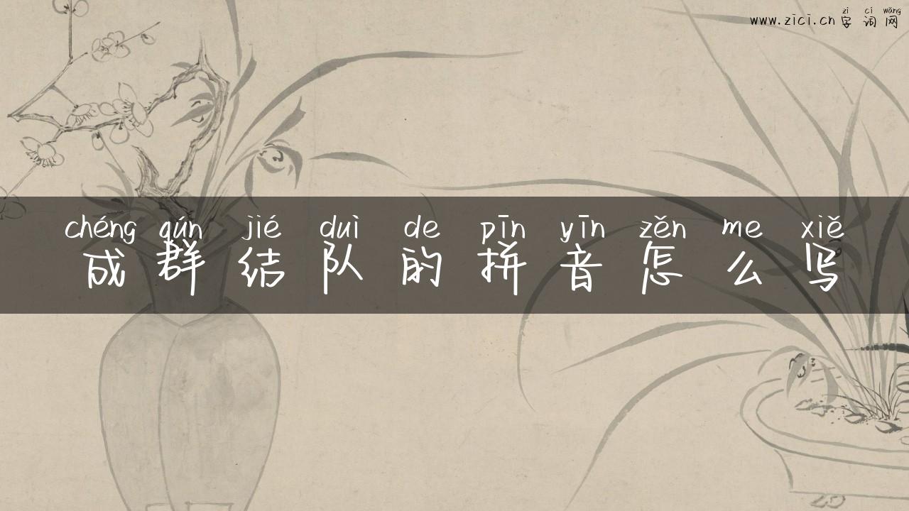 成群结队的拼音怎么写